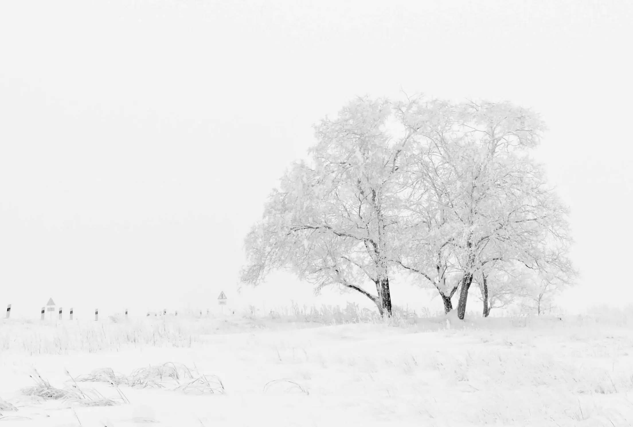 Frosty morning in a residential Auburn, CA neighborhood with roofs and lawns lightly coated in frost.
