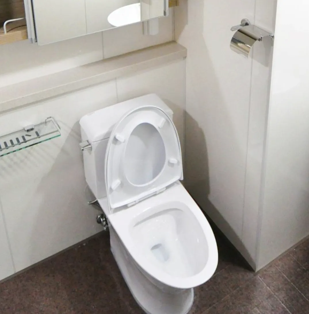 Why Is My Toilet Constantly Running And How Do I Fix It