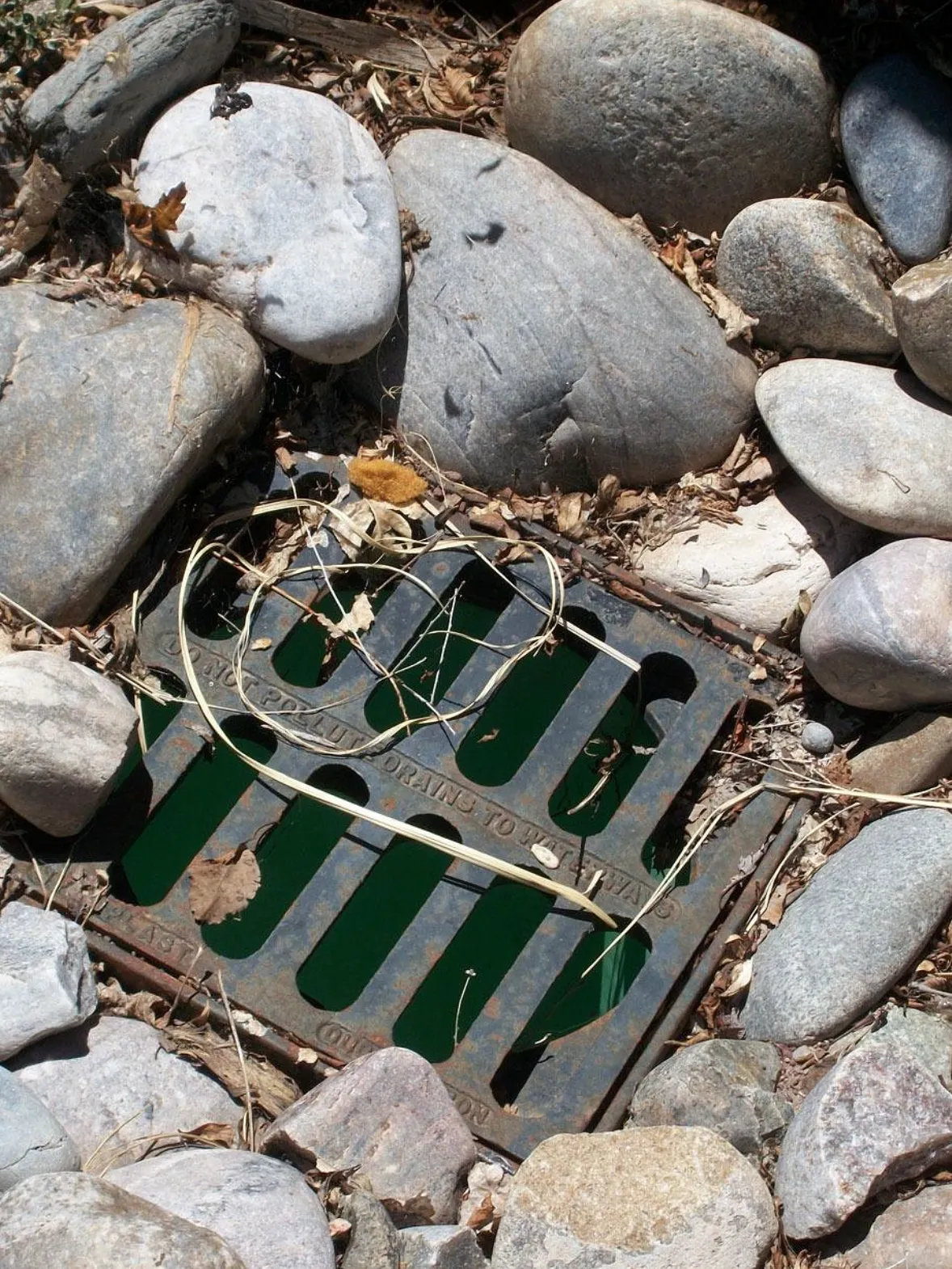 Technician in uniform kneeling beside a tank water heater, with a hose connected to the drain valve, water flowing out into a utility drain.